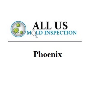 Mold Testing &  Inspection Phoenix
